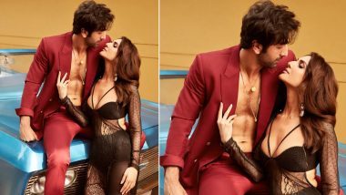 Shamshera Jodi Vaani Kapoor and Ranbir Kapoor Get Hot and Heavy in These Sexy Clicks (View Pics)
